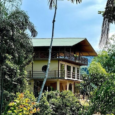 Wisdom Forest Lodge Tena Exterior photo